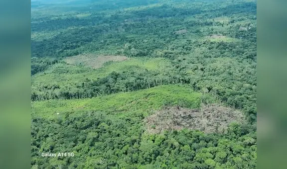 Líderes indígenas exigen al Mincul creación de la Reserva Yavarí Mirim