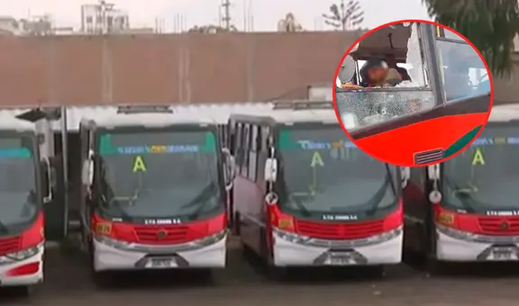 Buses de empresa 'Chama' paralizada: acatan paro de transportistas tras atentado contra chofer