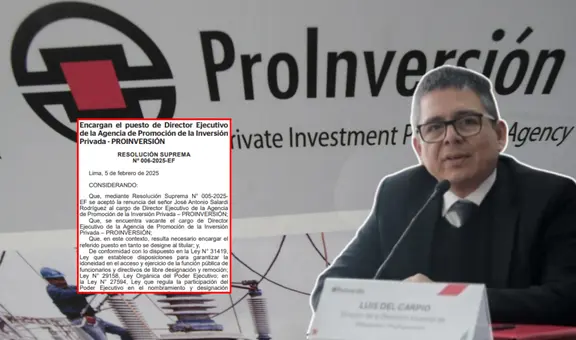 ProInversión: Luis Del Carpio Castro asume la dirección en reemplazo de José Salardi