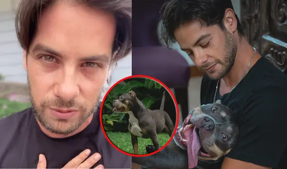 Andrés Wiese sufre por su perrita Menta tras recibir diagnóstico de cáncer: "Estoy hecho un mar de lágrimas"