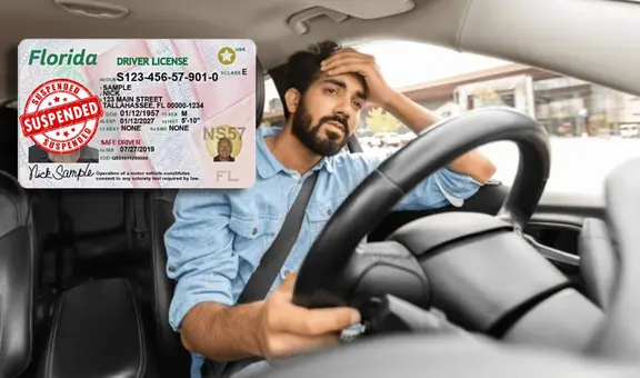 Licencia de conducir en Florida: ¿el número de la tarjeta y el registro del automóvil deben ser iguales, según el FLHSMV?