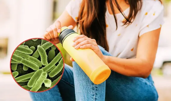 Tu tomatodo podría tener 40 mil veces más bacterias que un inodoro: ¿Sabes cómo limpiarlo?