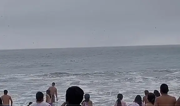 Hallan cadáver de menor desaparecido en playa La Ensenada: padre reconoció cuerpo tras más de 7 días de búsqueda