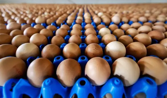¿Por qué hay escasez de huevos en Estados Unidos? Esta sería la razón de la baja producción y alza de precios
