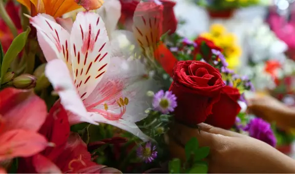 Feliz San Valentín: ¿qué flores regalar a tu pareja este 14 de febrero?