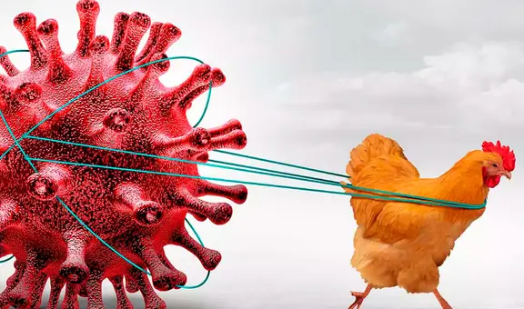 Influenza en Estados Unidos: los casos de fallecimiento superan las cifras del COVID-19 desde la pandemia