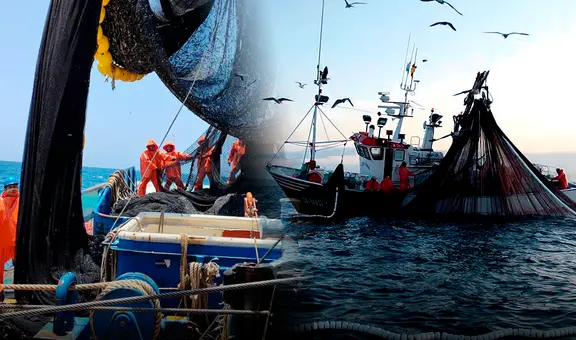 Peligra la ejecución de multas a pesqueras por extracción ilegal en Reserva Nacional de Paracas