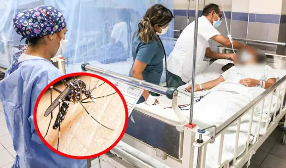 Dengue en Perú: el país es el cuarto con más casos en Sudamérica y podría empeorar con las lluvias