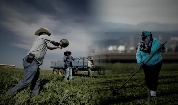 Aviso importante para inmigrantes en USA: esta es la plataforma para encontrar trabajo sin salir de casa en este 2025