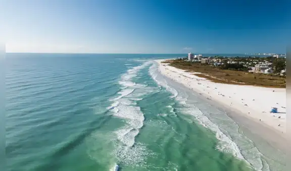Siesta Beach: la playa de Florida reconocida entre las mejores del mundo, según TripAdvisor