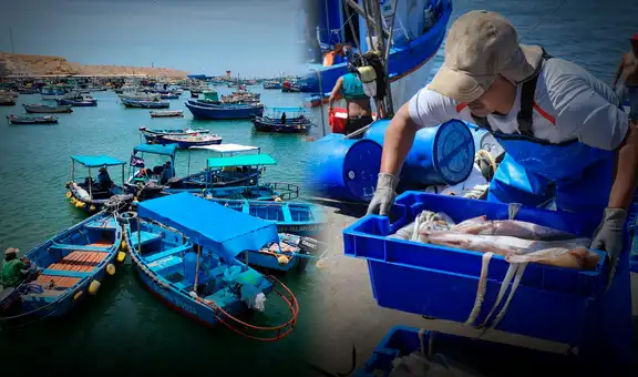 Barcos chinos en el mar peruano: drástica reducción de la pota alarma a pescadores en el norte