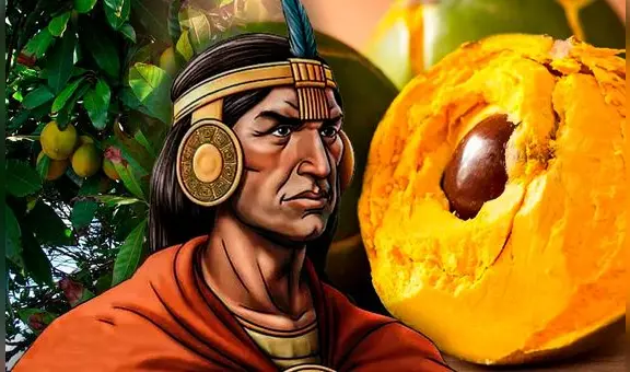 La fruta de Sudamérica catalogada como el 'oro de los Incas' que reduce la azúcar y retrasa la vejez