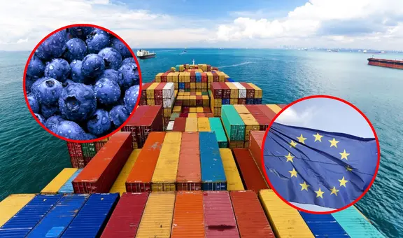 Exportaciones peruanas de frutas y hortalizas a la Unión Europea registran récord de US$2.400 millones