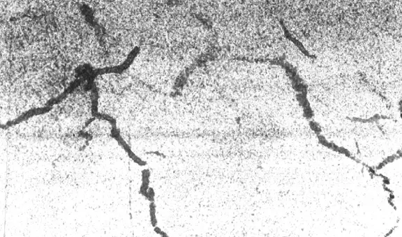 Científicos descubren unos seres que soportaron condiciones extremas y comienzan a crear mundos bajo el mar