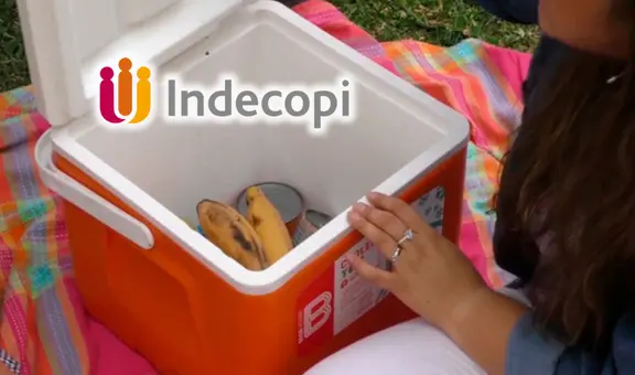 Indecopi alerta que más de 1.000 coolers de esta marca podrían amputar los dedos por asa defectuosa para quien lo manipule en Perú