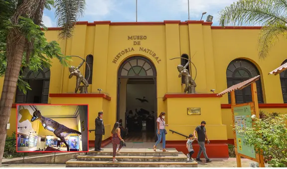Este museo alberga la colección biológica más grande del Perú y le pertenece a una universidad pública