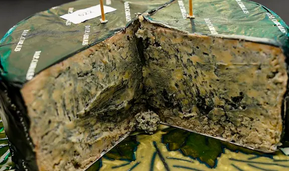 Este es el queso más caro del mundo: madura en cuevas, desarrolla moho y supera los 30.000 dólares