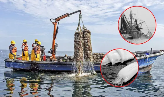 Más controles, mismos problemas: Produce no soluciona el caos en la pesca artesanal