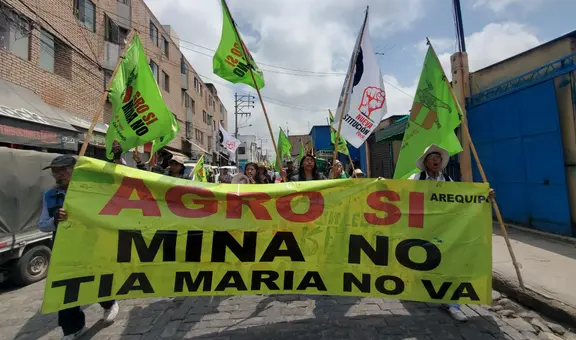 Minem pone fecha de inicio al proyecto Tía María en medio de protestas sociales