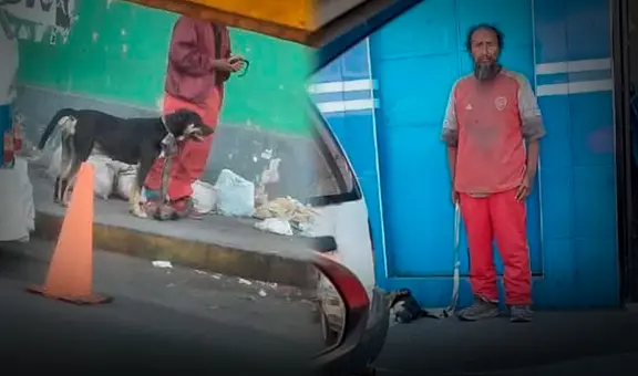 Animalistas denuncian maltrato contra perros y gatos callejeros en Tacna: piden intervención de las autoridades de salud