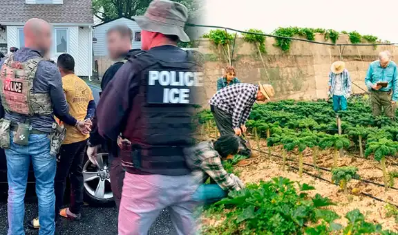 Agricultores en California se enfrentan al miedo de la deportación en campos de cultivo: “No le temimos a la pandemia, pero esto es peor”