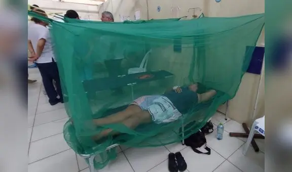 San Martín es la región con más casos y muertos por dengue tipo 3