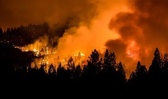Qué medidas debo tomar si fui afectado por los incendios forestales de 'las Carolinas' de Estados Unidos