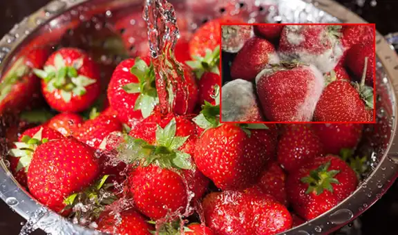 Este es el mejor método para desinfectar fresas y conservarlas por más tiempo: sin vinagre ni bicarbonato