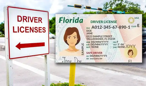 Licencia de conducir 2025: ¿cómo sacar un appointment para la ID en Florida, según FLHSMV?