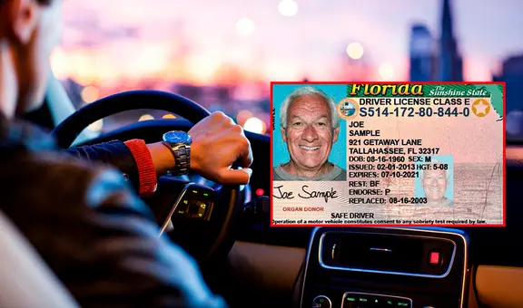 Licencia de conducir en Florida: ¿es válida para demostrar mi estatus migratorio en EE. UU., según FLHSMV?