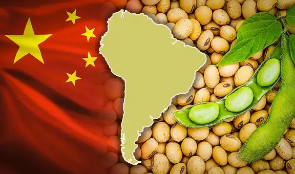 Los 2 países de Sudamérica que ganan con la contraofensiva arancelaria de China a Estados Unidos en el mercado de soja
