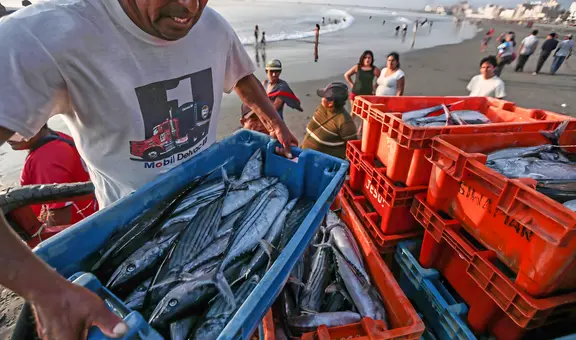 Pescadores destacan promulgación del reglamento de la Ley N° 31749 de la Pesca Artesanal