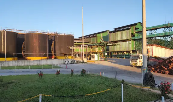 OEFA confirma que palmicultora Ocho Sur cumple con normativas ambientales vigentes