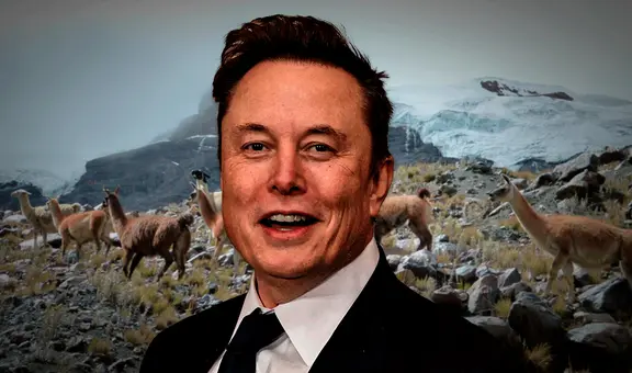 DOGE de Elon Musk cancela casi US$ 1 millón en subvenciones de Estados Unidos para cría de alpacas en Perú