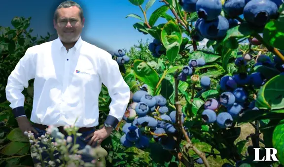 El ingeniero de la UNALM que con solo S/1.000 logró volver al Perú en potencia mundial en exportación de arándanos y superó a Chile