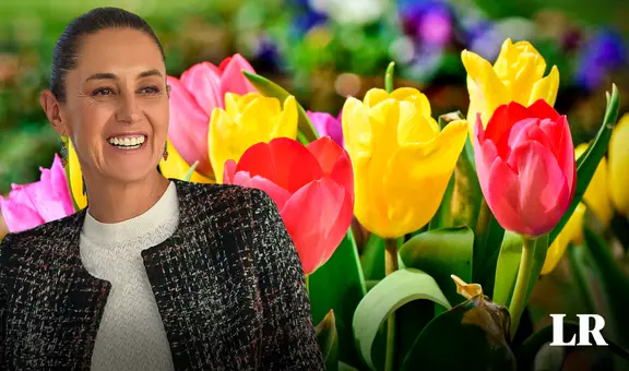 Sheinbaum rechaza que un tulipán en Países Bajos lleve su nombre y pide bautizarlo en honor a las mujeres indígenas de México