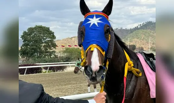 ¿Cuánto pagó el 5y6 de La Rinconada del 9 de marzo? La R08 deja un monto sellado superior a los Bs. 50 millones