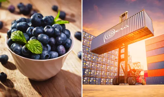 Perú domina el mercado internacional del arándano: exportaciones del 'oro azul' sumaron US$2.270 millones en 2024