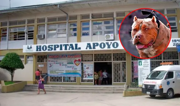 Docente pierde la mitad del cuero cabelludo tras ataque de pitbull y queda en UCI: intentaron sobornarla para que no denuncie