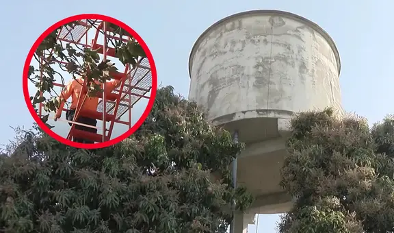 Comunidad en Guadalajara, México, bebían agua de cisterna donde un cuerpo se había desintegrado por años
