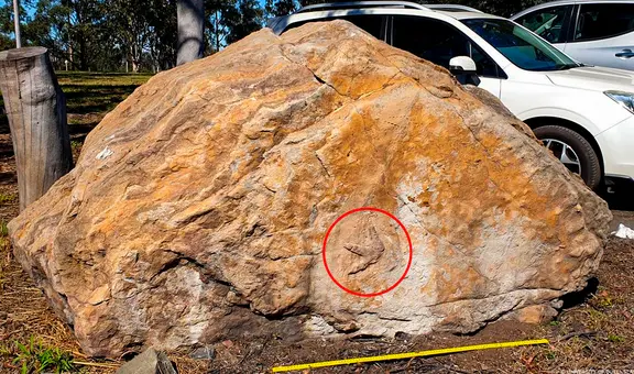 Científicos descubren las huellas de más de 40 dinosaurios en una roca que mineros habían donado a un colegio