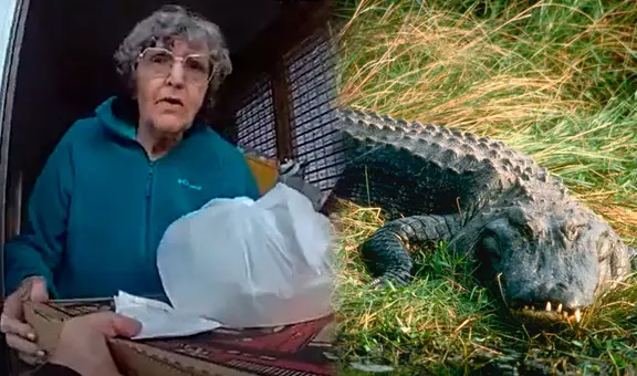 Florida: un caimán de 2.4 metros casi evita la entrega de pizza a una clienta, que pidió insólito favor al policía