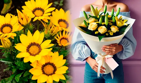 ¿Qué simbolizan las flores amarillas y cuál es la razón de regalarlas este 21 de marzo?