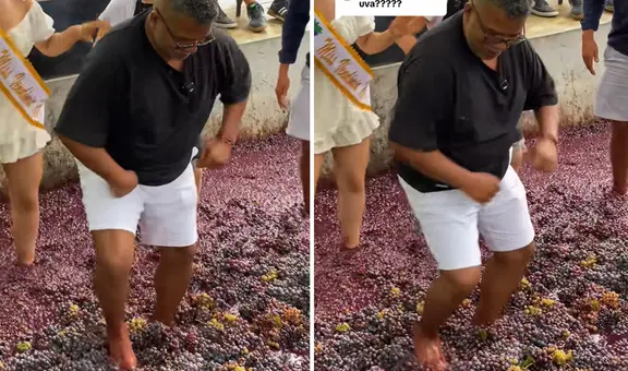 Usuarios se sorprenden al ver a ‘Choca’ pisando uvas para la preparación de vino: "Bien sazonado"