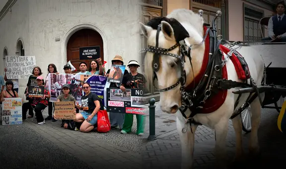 "No a los carruajes con caballo": colectivo busca frenar microsistema de transporte de la MML de S/14 millones