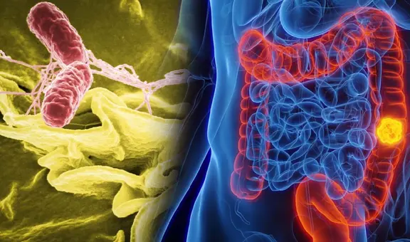 Científicos en China crean bacterias que podrían eliminar los tumores y generar inmunidad contra el cáncer