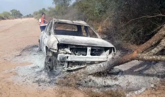 Hombre iba a visitar la tumba de su madre, pero murió calcinado tras ser atacado por abejas y chocar su camioneta en Argentina