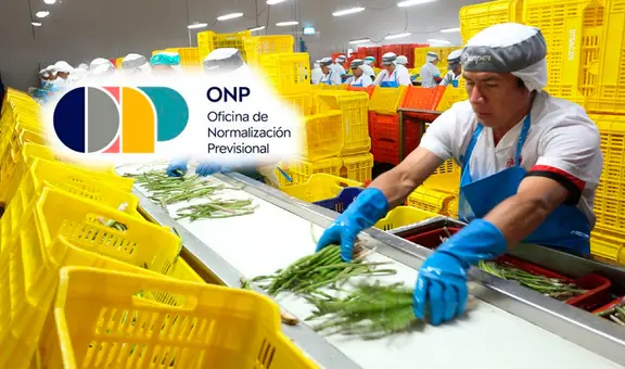 Trabajadores independientes pueden aportar a la ONP para acceder a una pensión y seguros de salud: ¿cuáles son los requisitos en 2025?