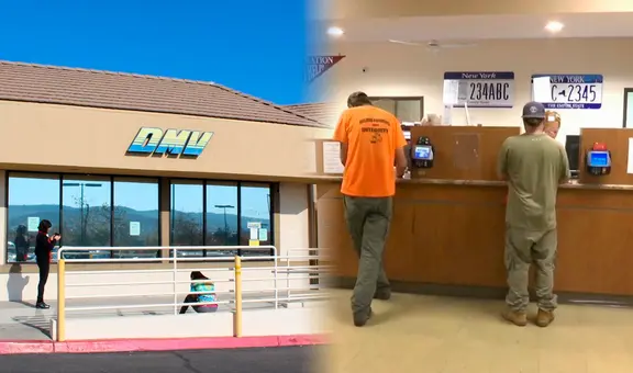 Licencia de conducir en Florida: Miami-Dade impone drásticas medidas contra los revendedores de citas del DMV