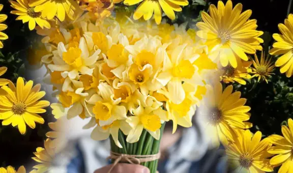¿Qué simbolizan las flores amarillas en el amor?